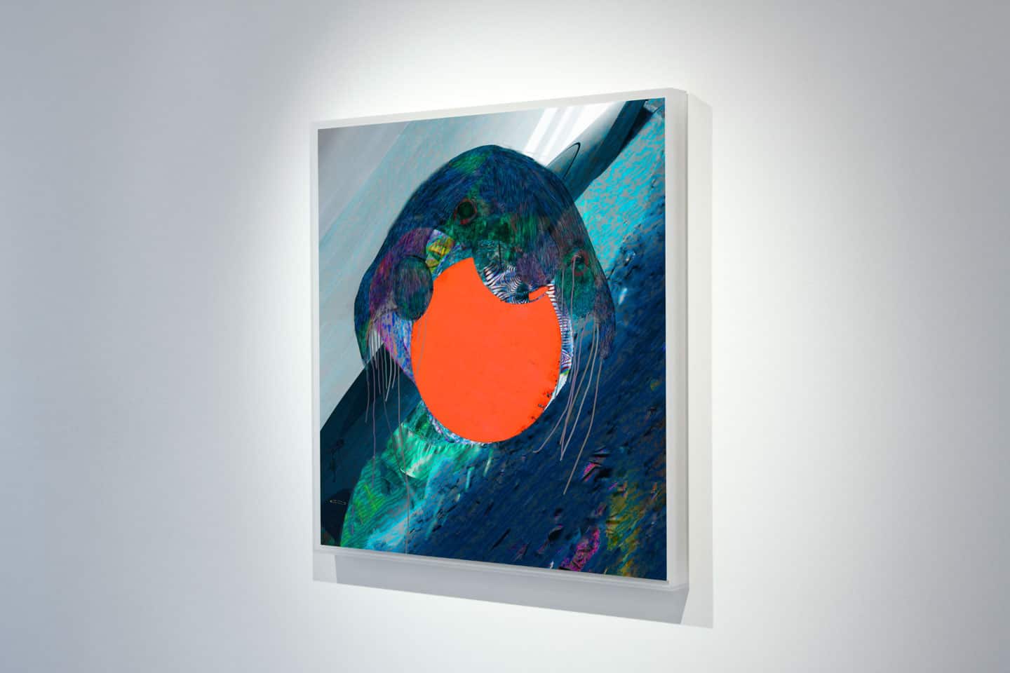 Alex Fischer, Jelly Portrait, 2013 install at Dry Pixels and Wet Molecules, O'Born Contemporary